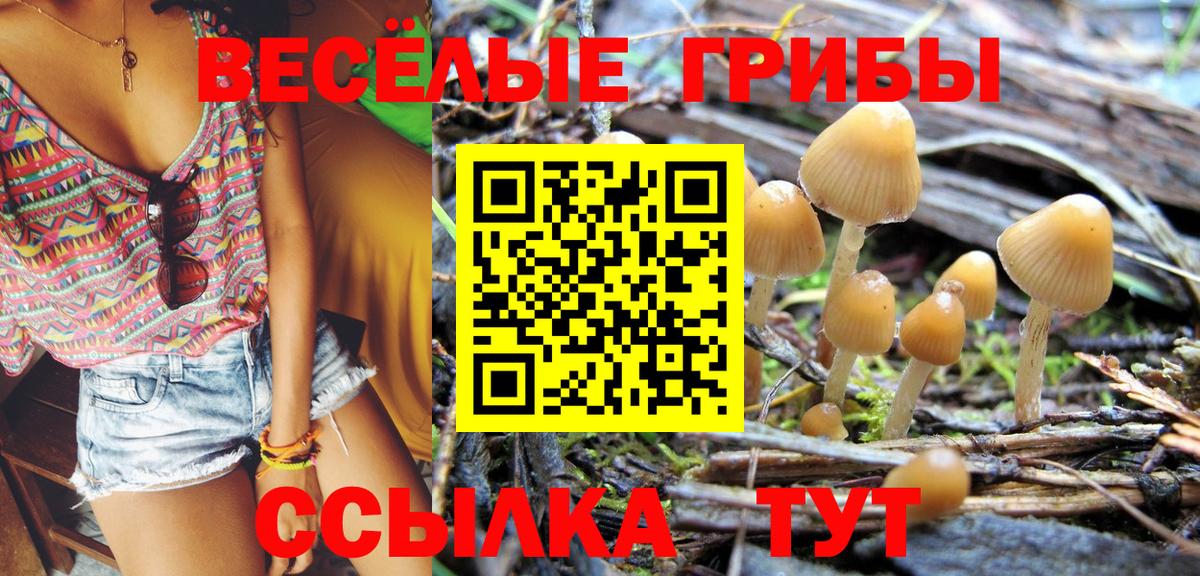 Галлюциногенные грибы GOLDEN TEACHER Кувандык